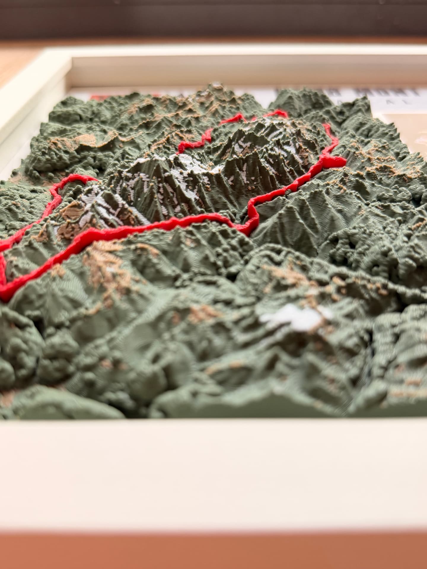 UTMB Mont Blanc — Relief Detail — Close-up of the snow-capped summits and ridgelines along the course.